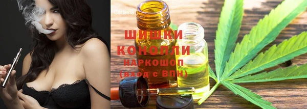гашик Надым