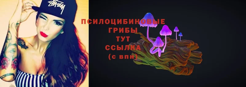 Псилоцибиновые грибы Psilocybe  omg зеркало  Удомля  наркота 