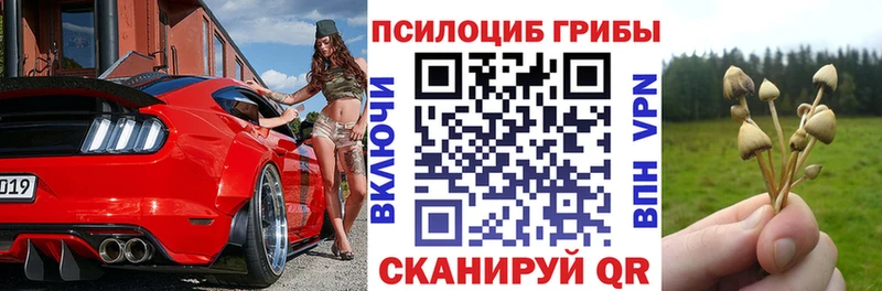 Галлюциногенные грибы Psilocybe  Удомля 