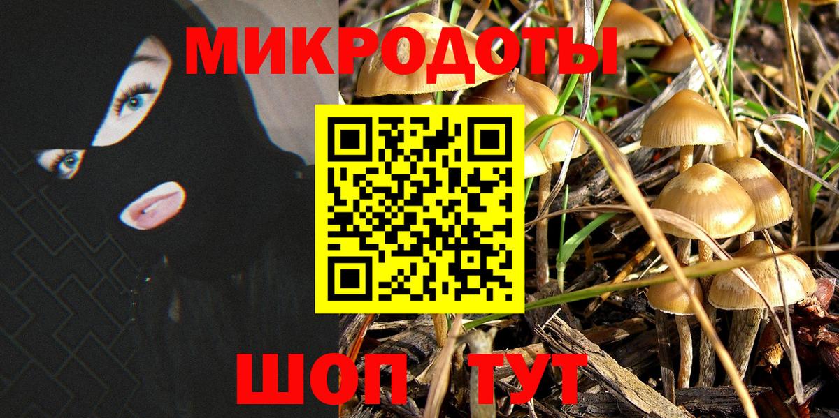 Галлюциногенные грибы прущие грибы  Удомля 