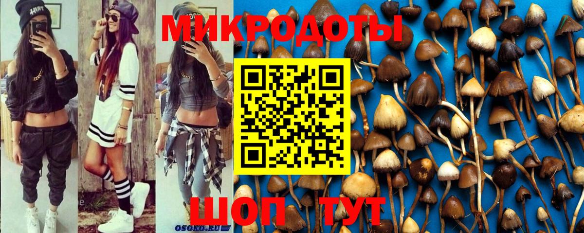 Псилоцибиновые грибы мицелий Удомля