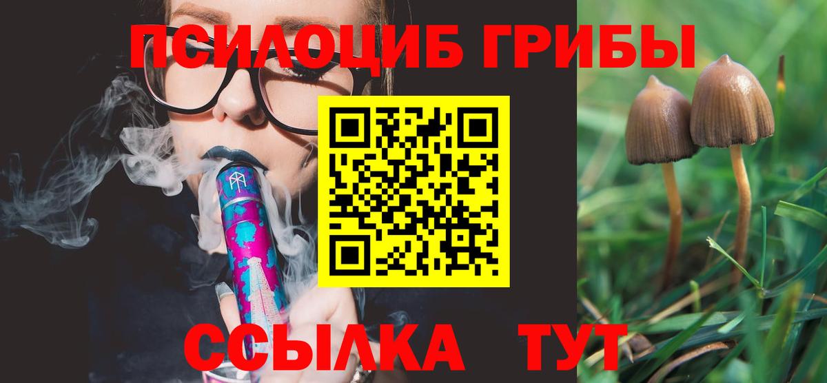 цены наркотик  Галлюциногенные грибы мицелий  Вход с VPN  Удомля 